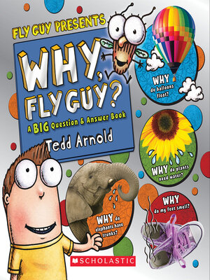 cover image of Why, Fly Guy?